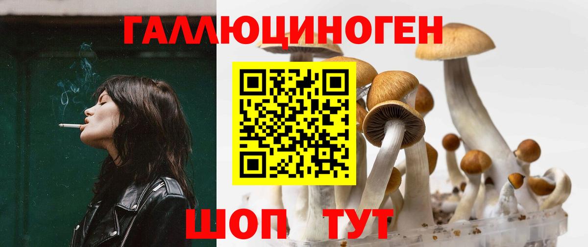 Галлюциногенные грибы ЛСД Можайск