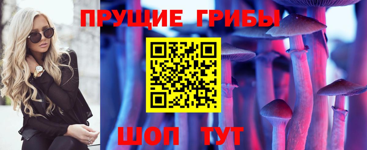 где можно купить   Псилоцибиновые грибы прущие грибы  Псилоцибиновые грибы GOLDEN TEACHER  Вход с VPN  Можайск 
